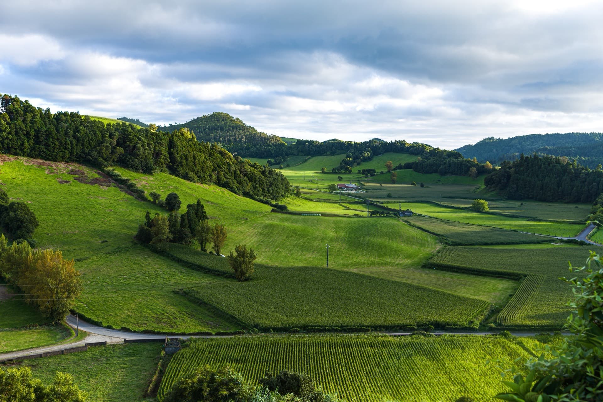African farmland landscape